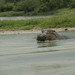 Elizabeth Wild Photo 16
