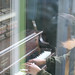 Sharon Miner Photo 32