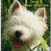 Jenny Hill Photo 13