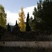 Juan Gil Photo 43