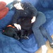 Laura Duncan Photo 58