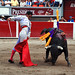 Ignacio Garibay Photo 27