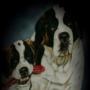 Kathy Dean Photo 21