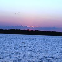 John Dimarco Photo 22