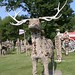 Fred Phillips Photo 26