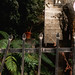 David Witmer Photo 35