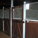 Elizabeth Stabler Photo 12