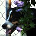 Rose Ragan Photo 16