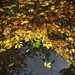 Man Cheng Photo 34