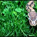 Gerald Thomas Photo 14