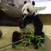 Hui Fu Photo 18