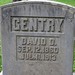 David Gentry Photo 16