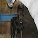 Roger Hendrick Photo 14