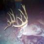 Randy Barton Photo 31