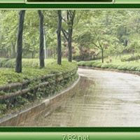 Ralph Walker Photo 15