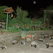 Mary Badger Photo 32