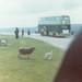 Robin Blaylock Photo 25