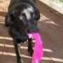Chester Parker Photo 22