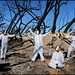 Eduardo Valadez Photo 11