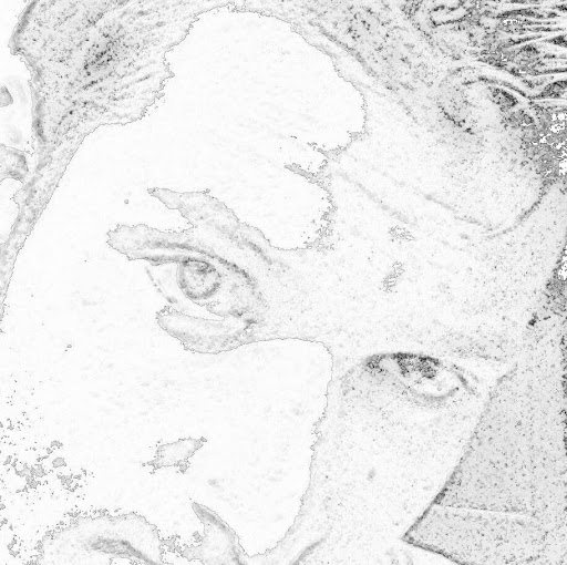 Raj Chowdhury Photo 16