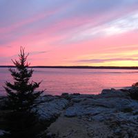 Cynthia Macdonald Photo 23