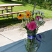 Cindy Clark Photo 7