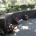 Mark Spinelli Photo 11