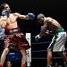 Darrell Martin Photo 7