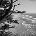 Scott Keesee Photo 4