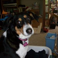 Laura Copenhaver Photo 5