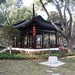 Nan Lin Photo 28