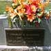 Charles Mcdaniel Photo 35