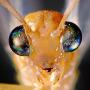 Peter Hoppe Photo 22