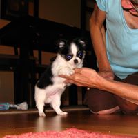 Paula Bergeron Photo 27