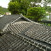 Liang Zhang Photo 35