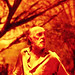 Fernando Teixeira Photo 19