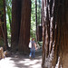 Anna Pfeiffer Photo 30