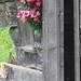 Ann Reynolds Photo 36