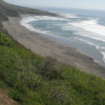 Wayne Maxey Photo 5