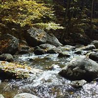 Mark Thacker Photo 10