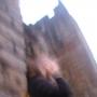 Ruth Hall Photo 6