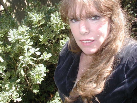 Renee Anderson Photo 4