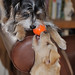Frankie Mcdaniel Photo 14