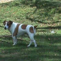 Janet Rowlands Photo 6