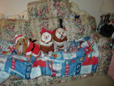 Linda Cooper Photo 40
