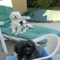 Carol Bloch Photo 9