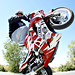 Joe Molina Photo 9