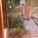 Tracey Morin Photo 11
