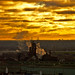 Dawn Cleveland Photo 23