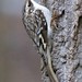 Jerry Downs Photo 26